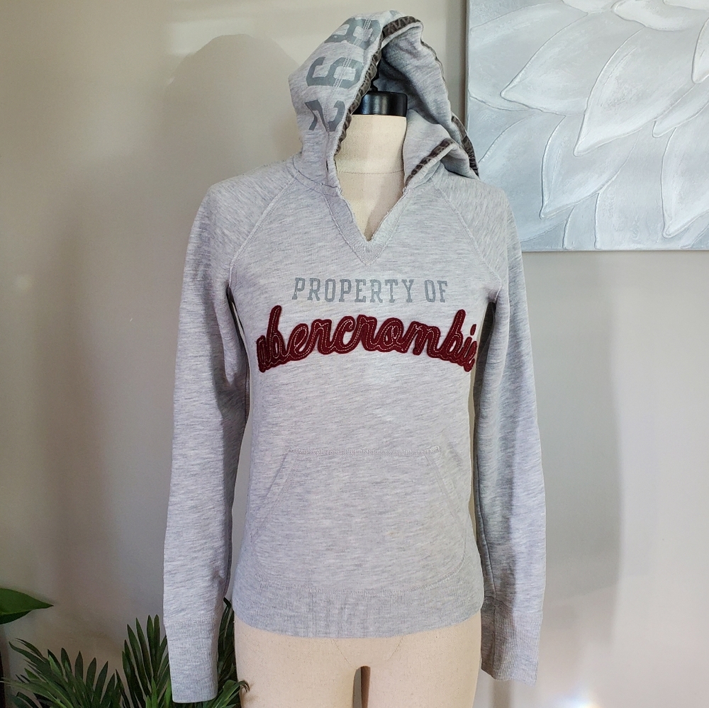 abercrombie Hoodie (Vintage)